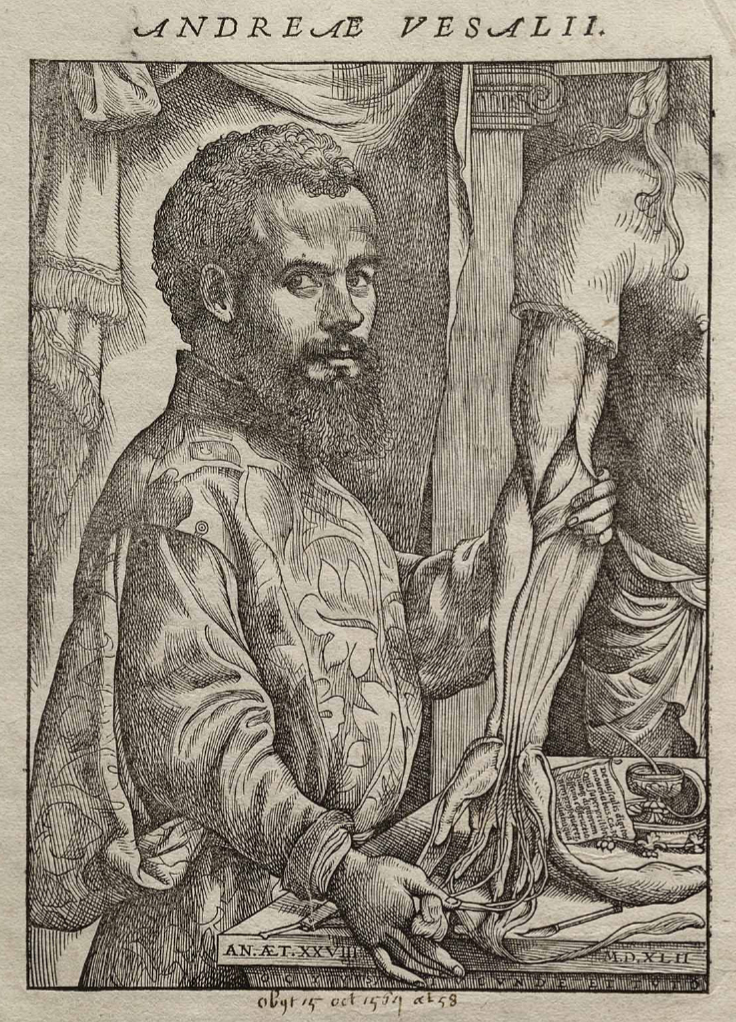André Vésale photo
