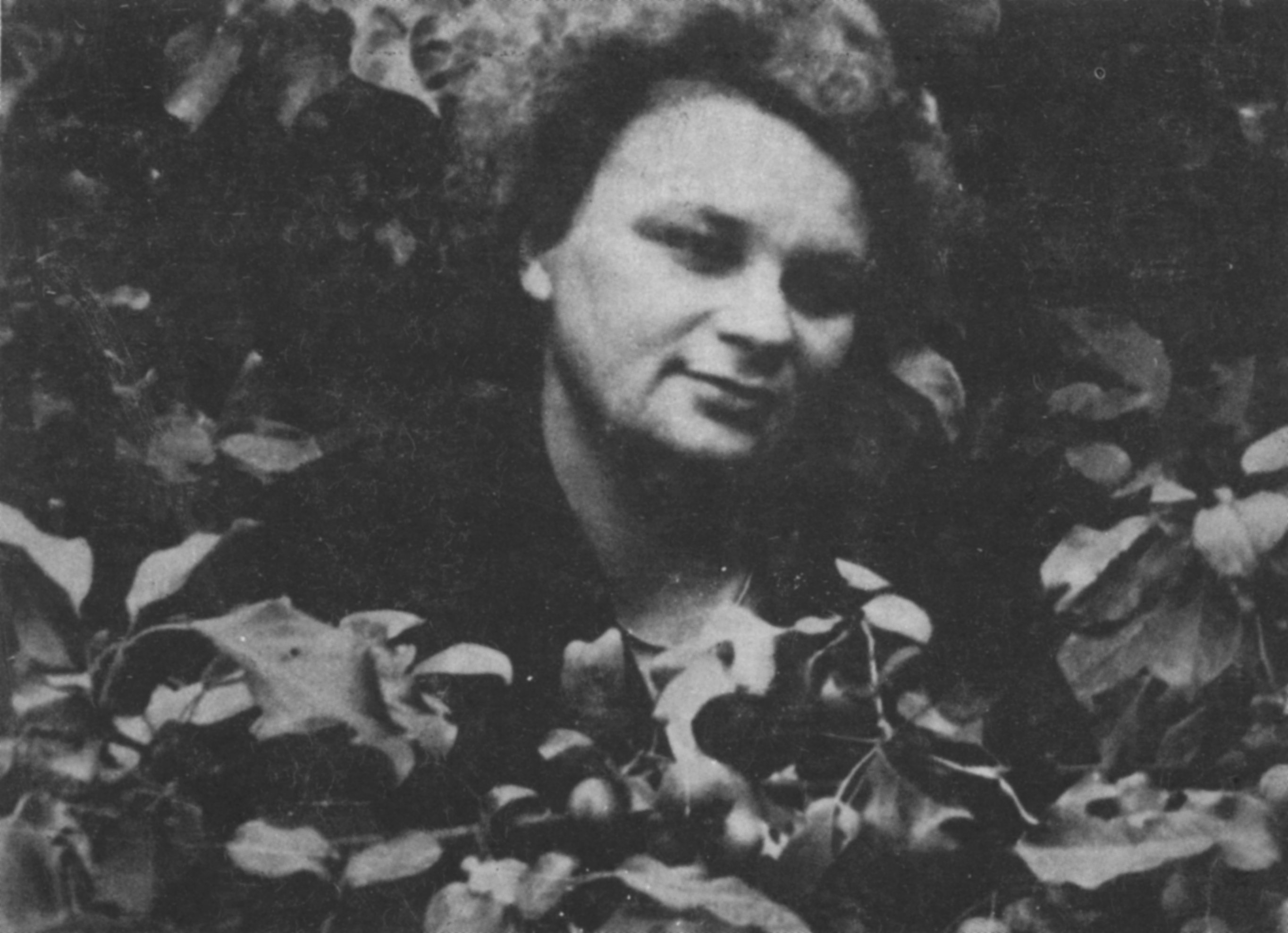 Anna Kamieńska photo