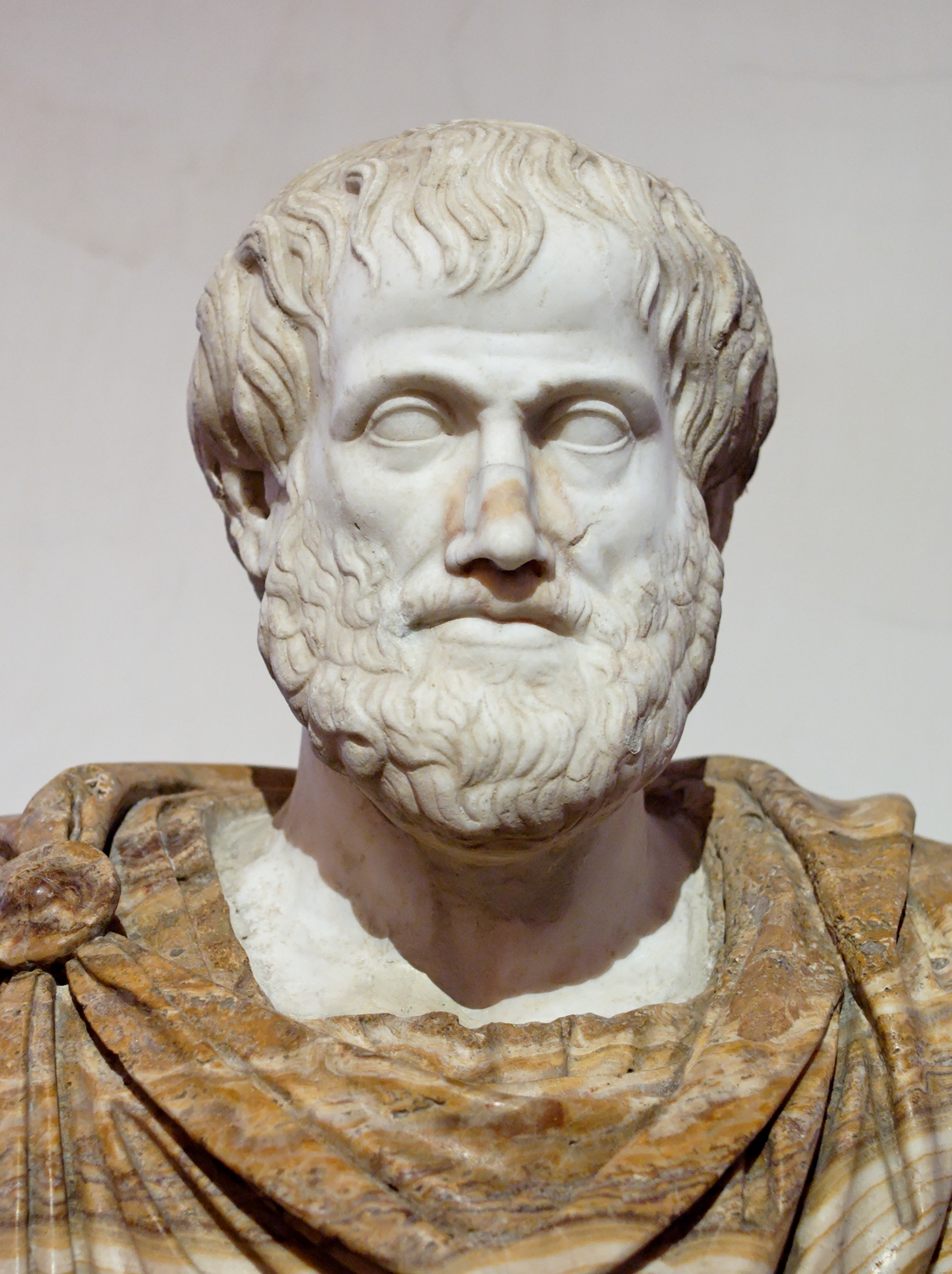 Aristote photo