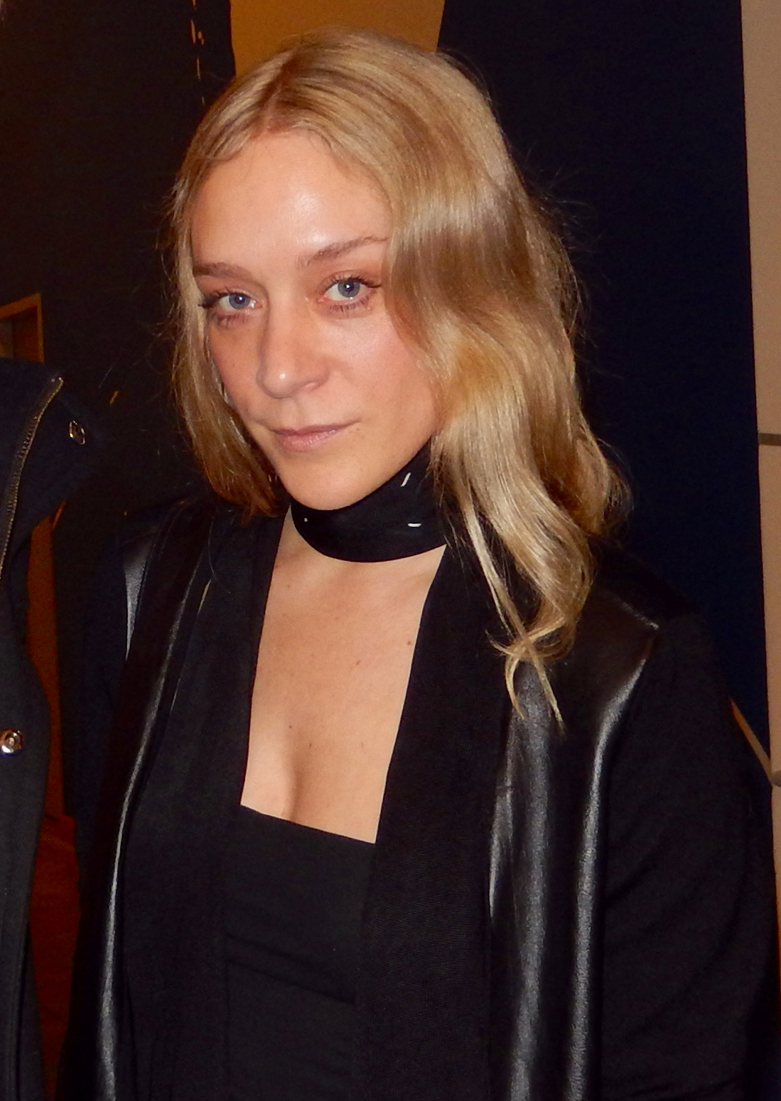 Chloë Sevigny photo