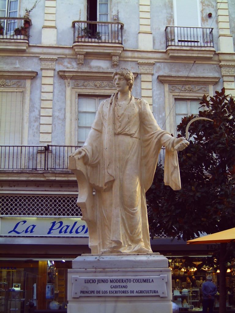 Columelle photo