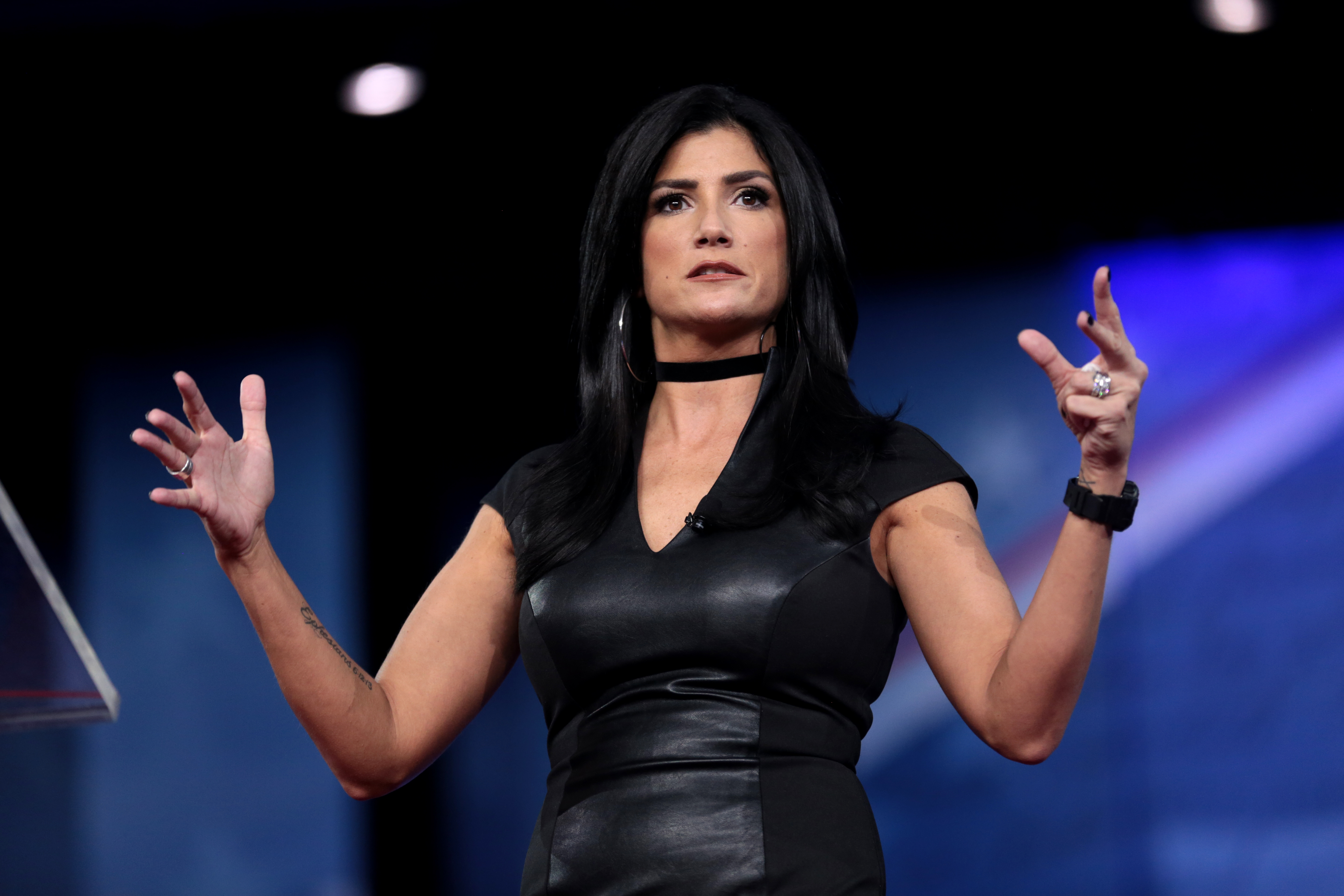 Dana Loesch photo