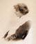 Eleanor Farjeon photo