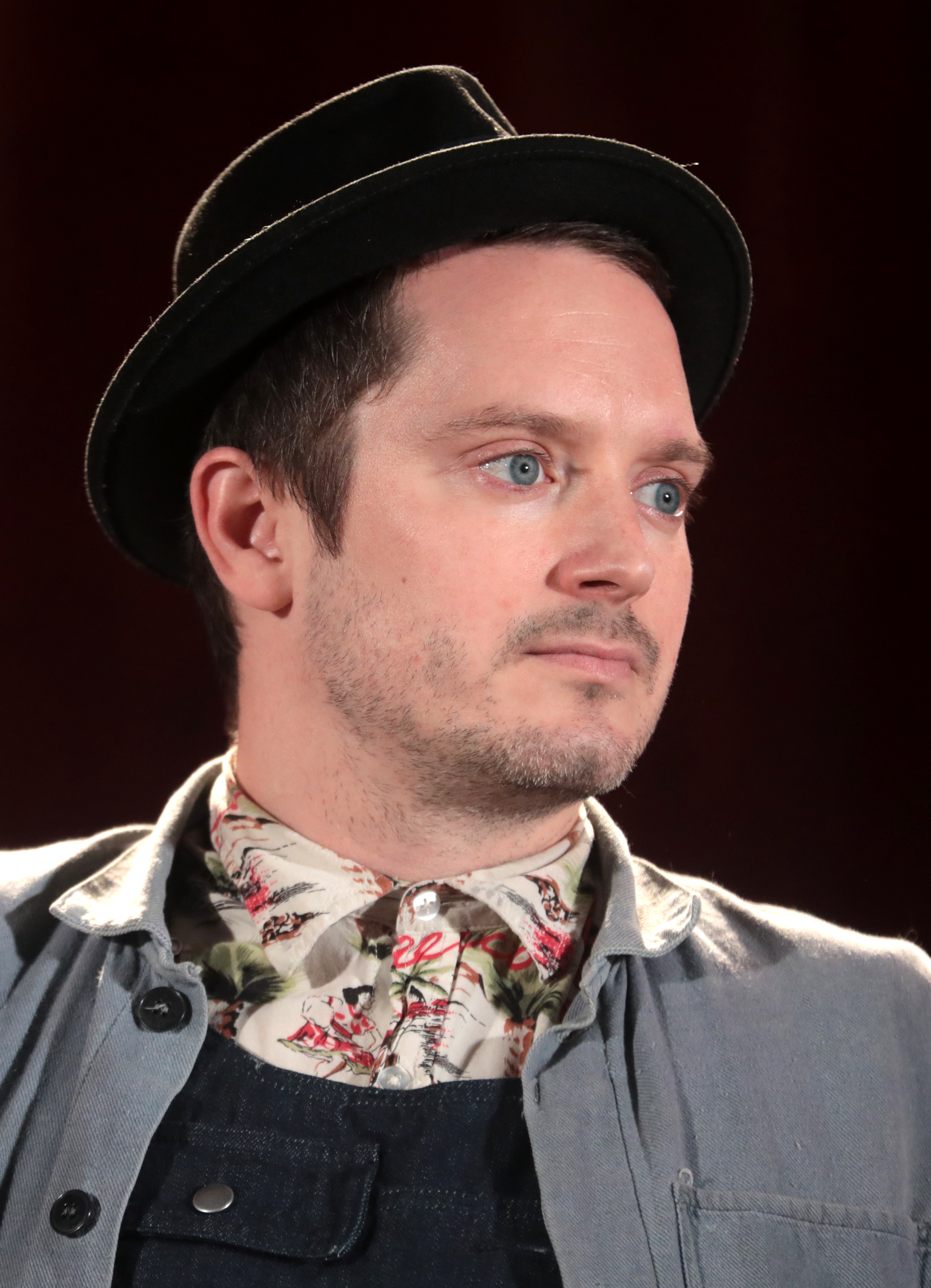 Elijah Wood photo