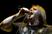 George Fisher (chanteur) photo