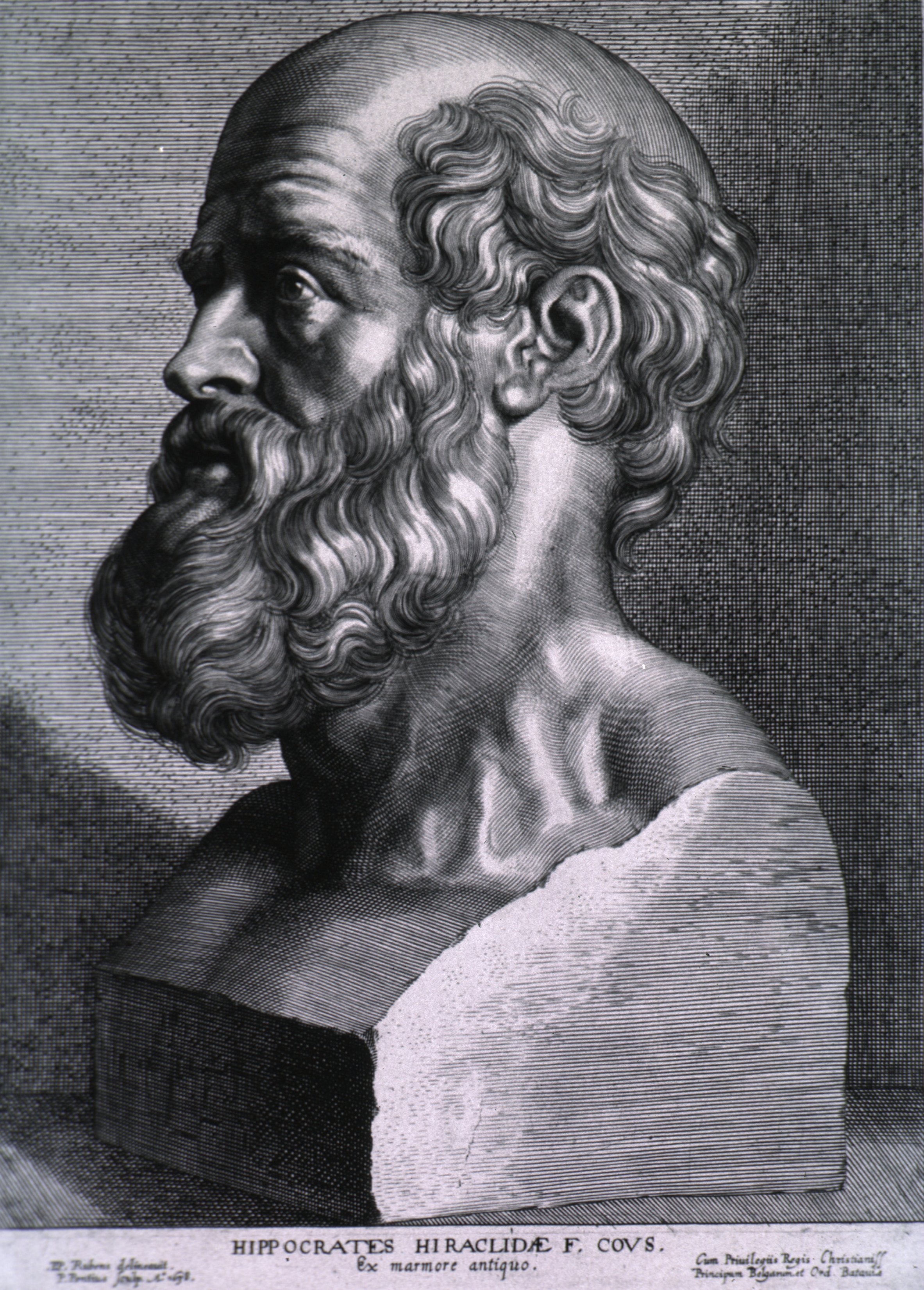 Hippocrate photo