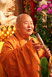 Hsing-Yun photo