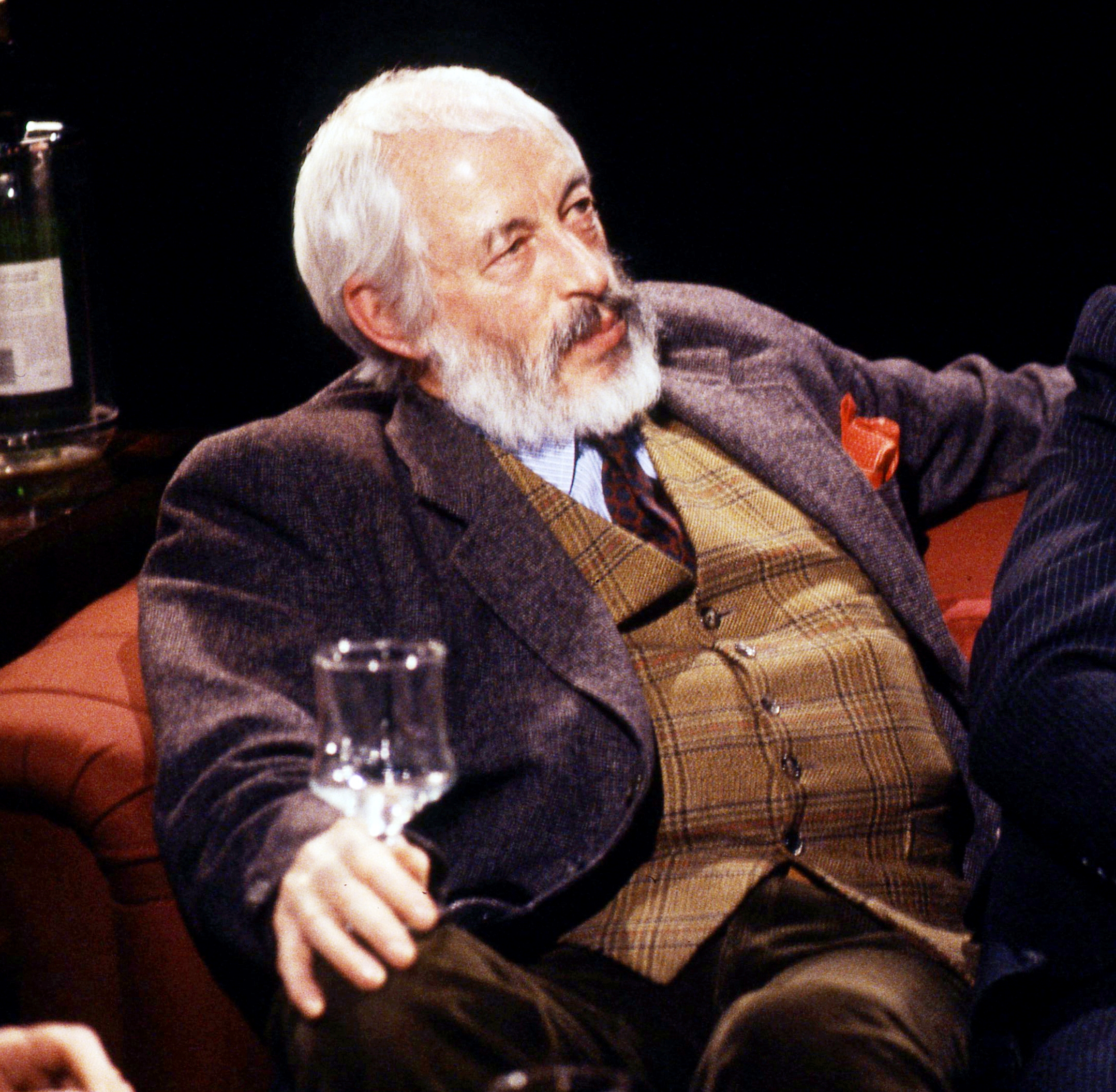 James Patrick Donleavy photo
