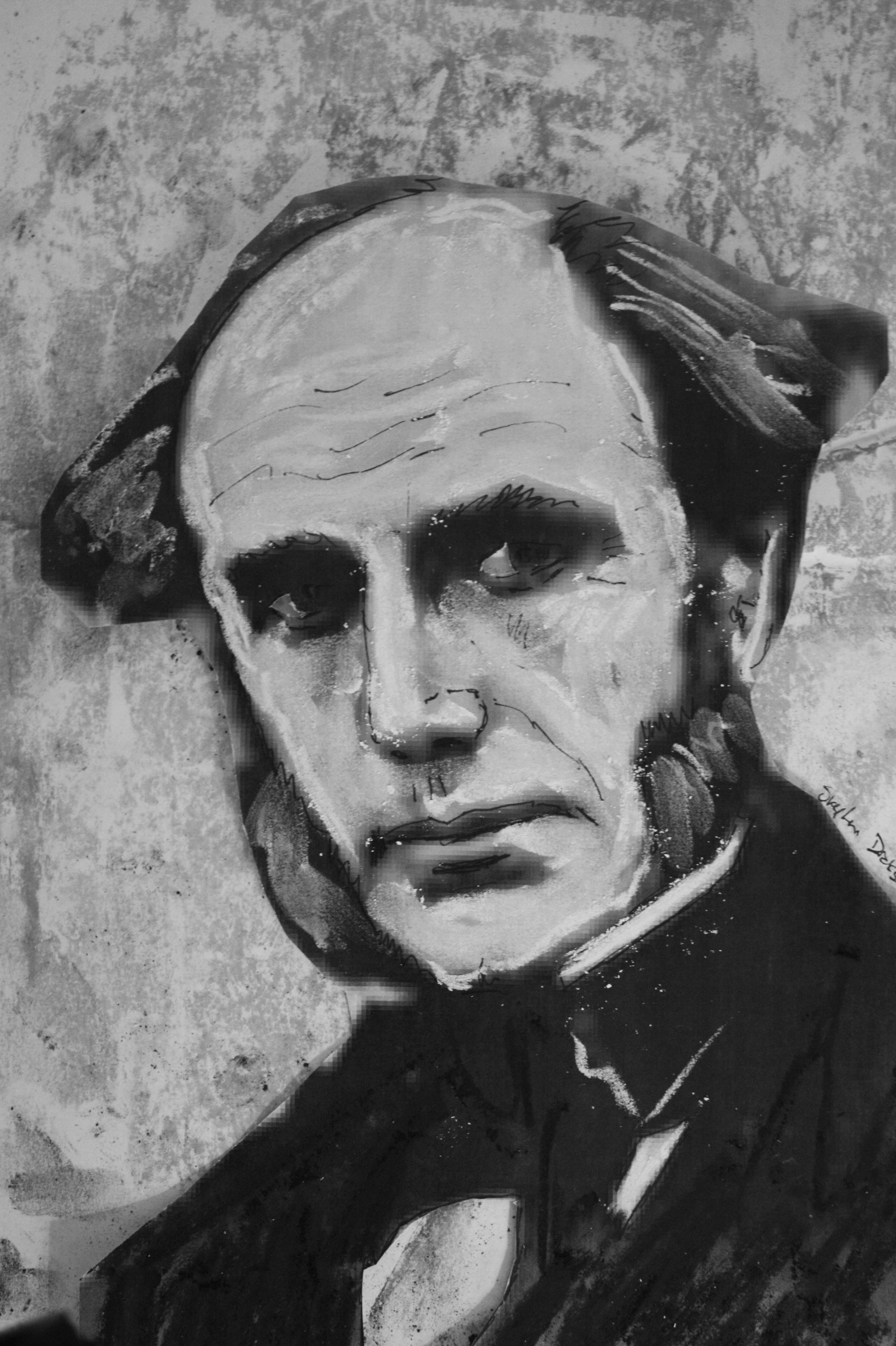 James Finlay Weir Johnston photo