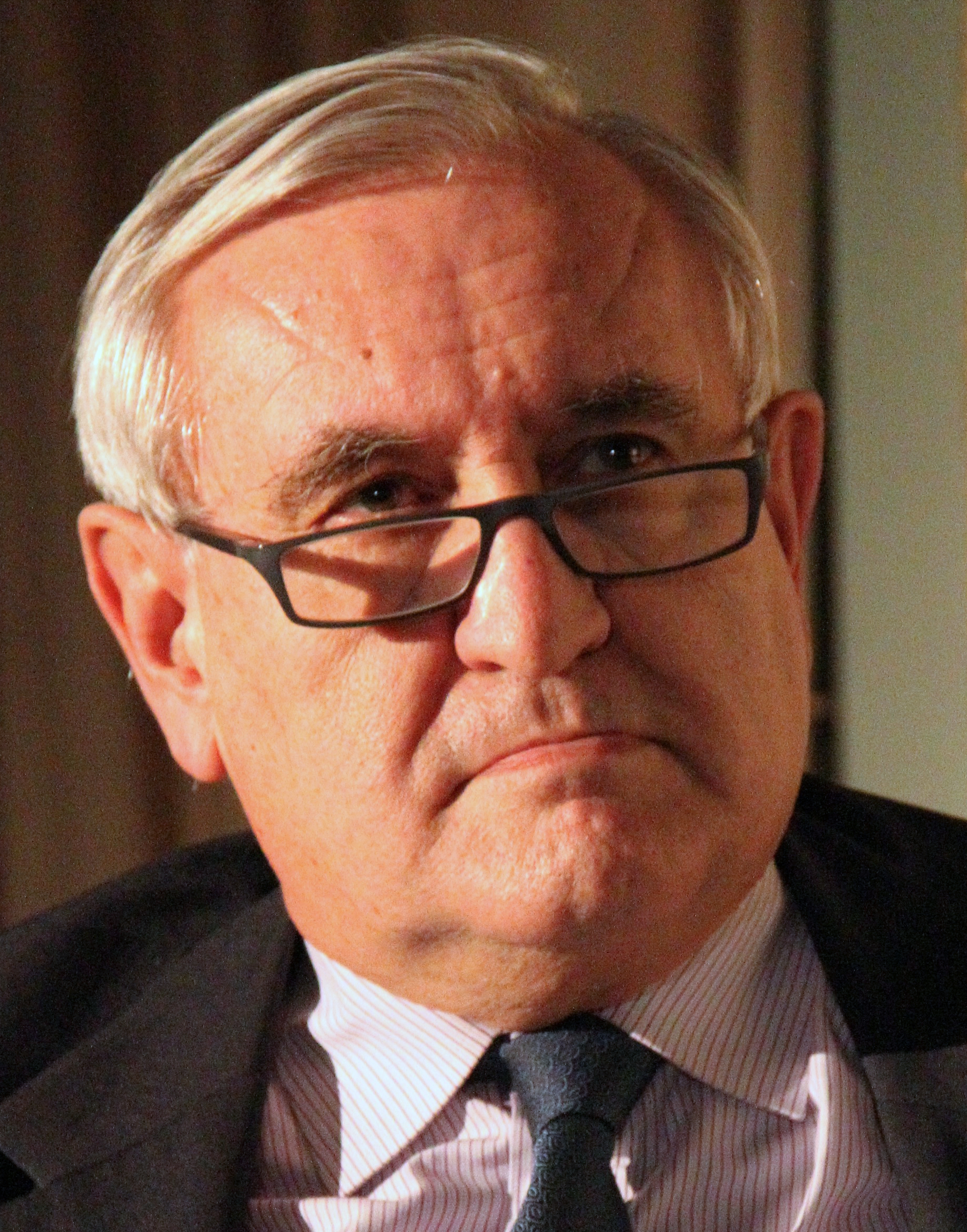 Jean-Pierre Raffarin photo