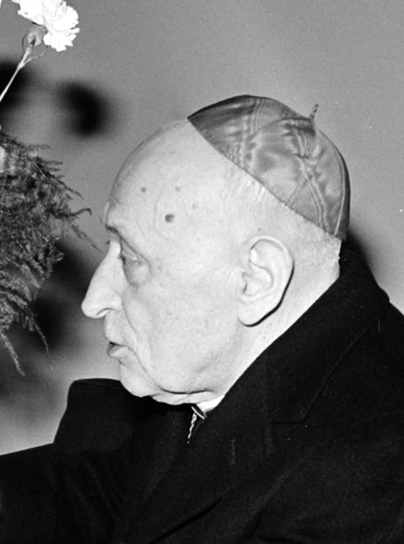 József Mindszenty photo