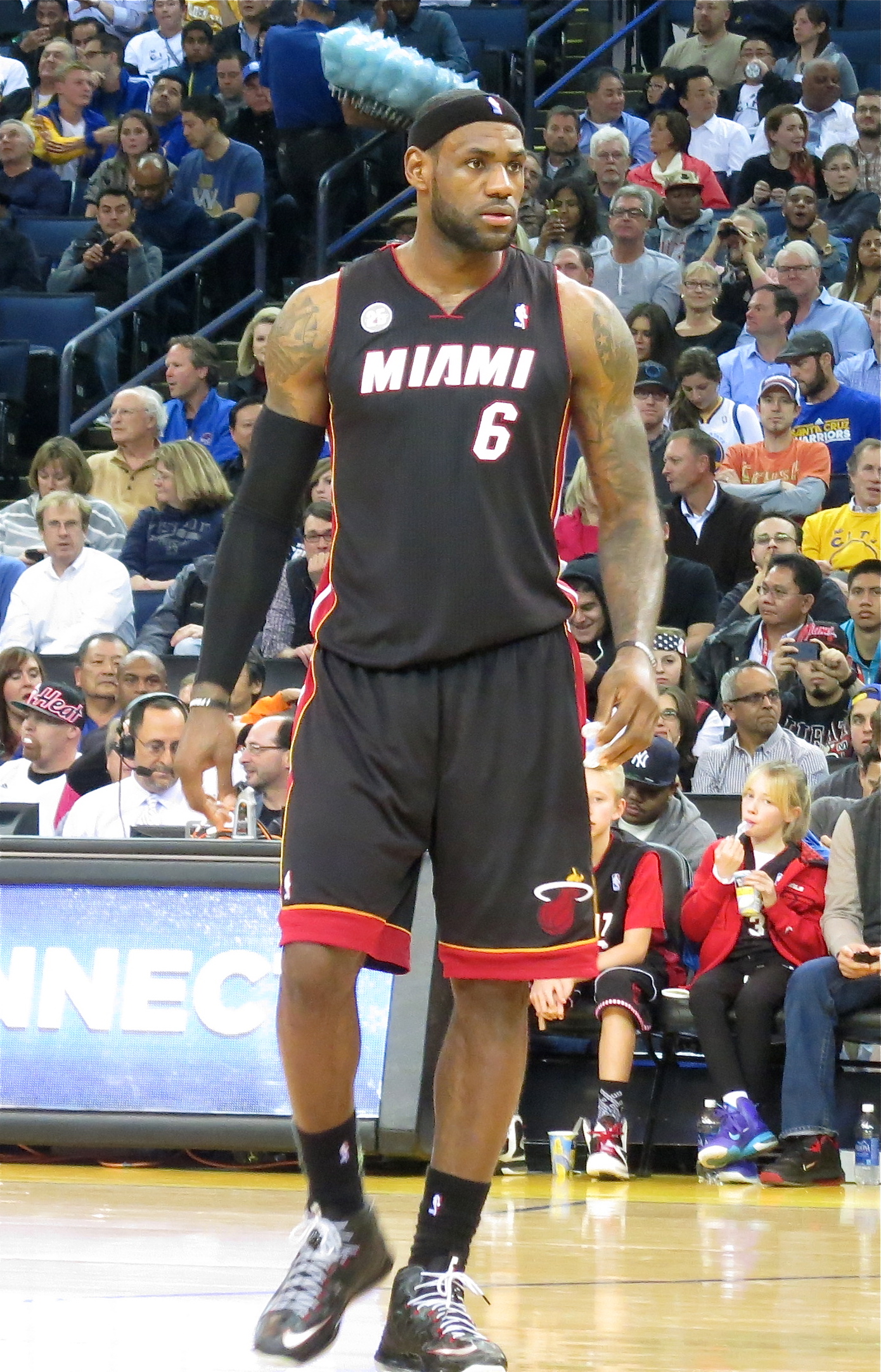 LeBron James photo