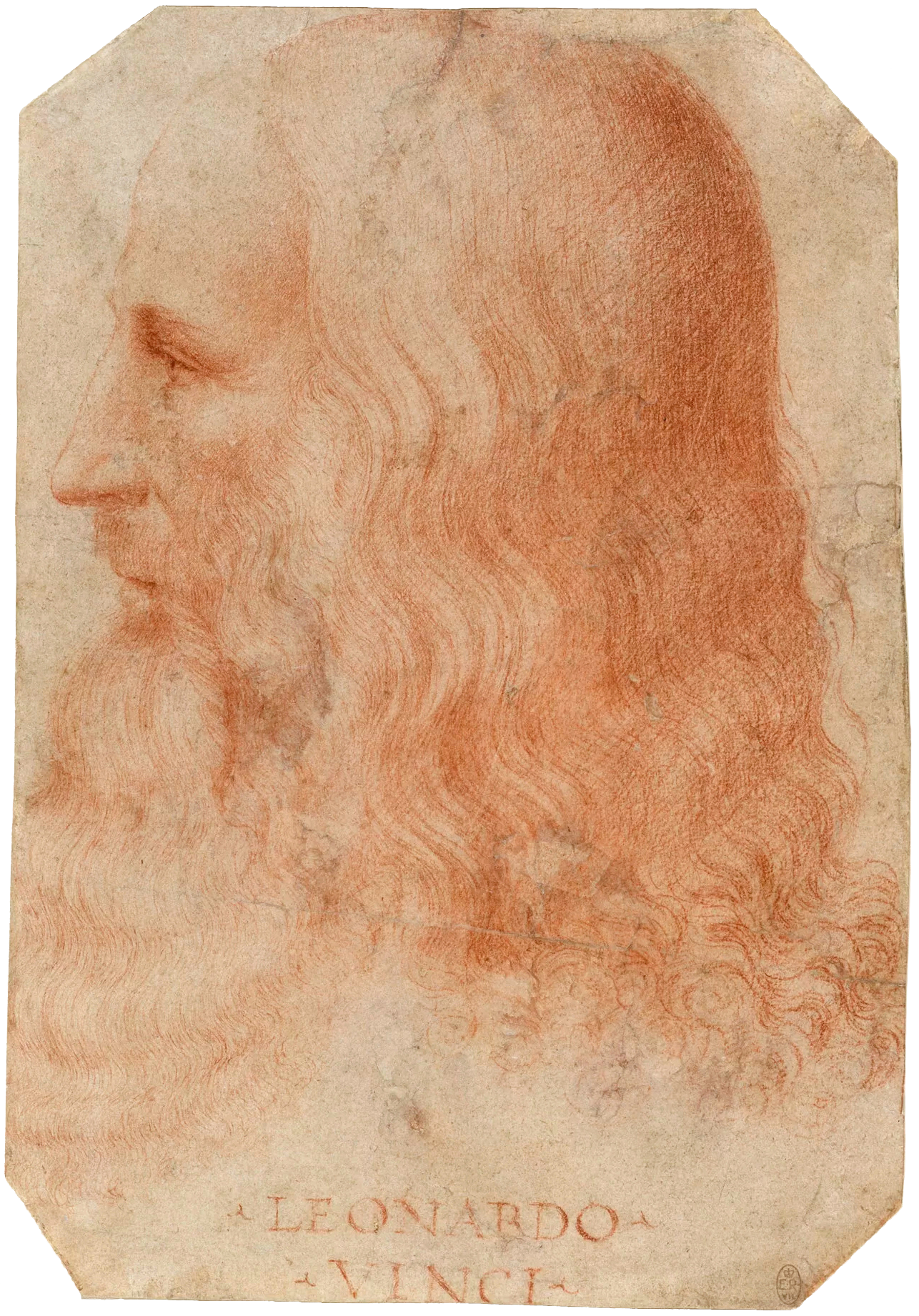 Léonard de Vinci photo