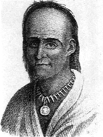 Michikinikwa photo