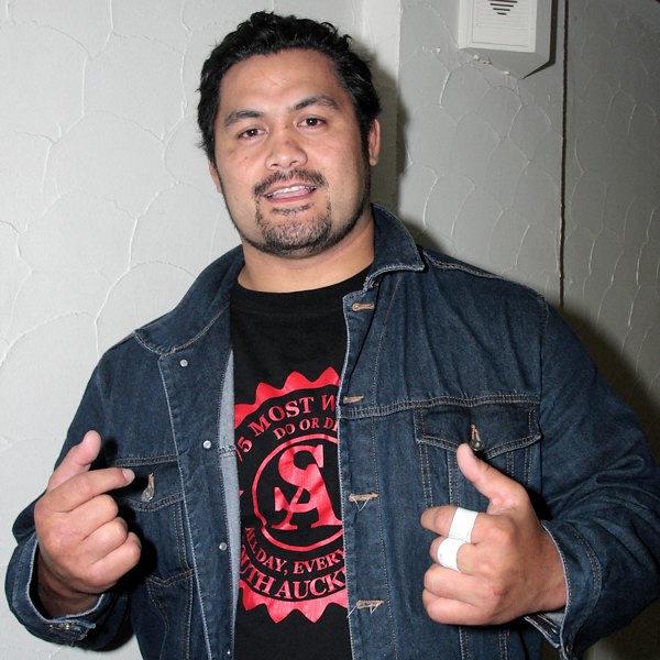 Mark Hunt photo