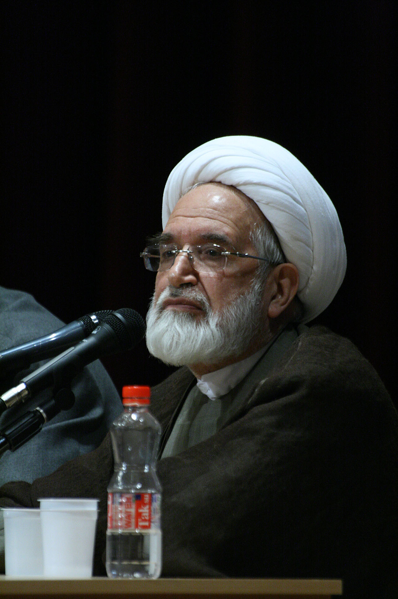 Mehdi Karoubi photo
