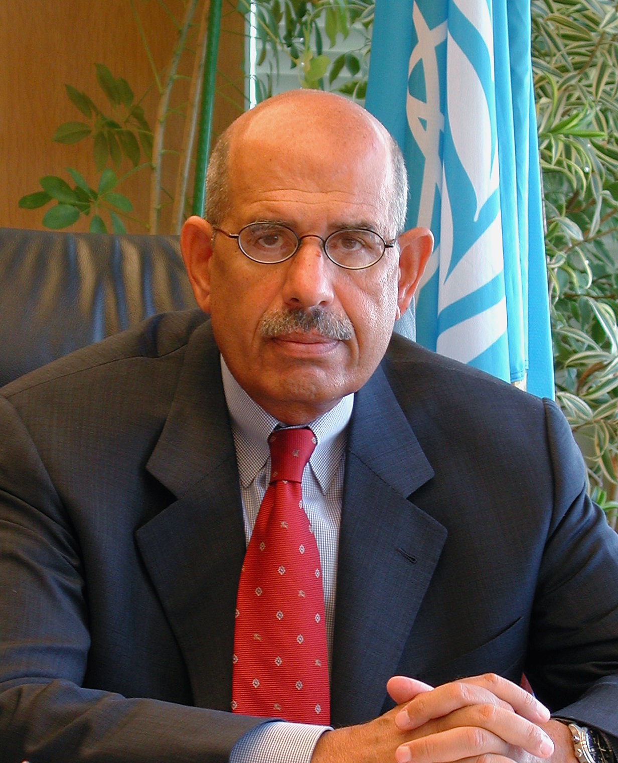 Mohamed El Baradei photo