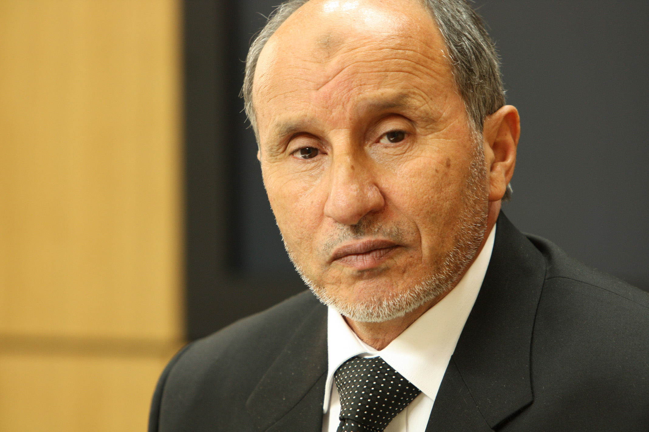 Moustapha Abdel Jalil photo