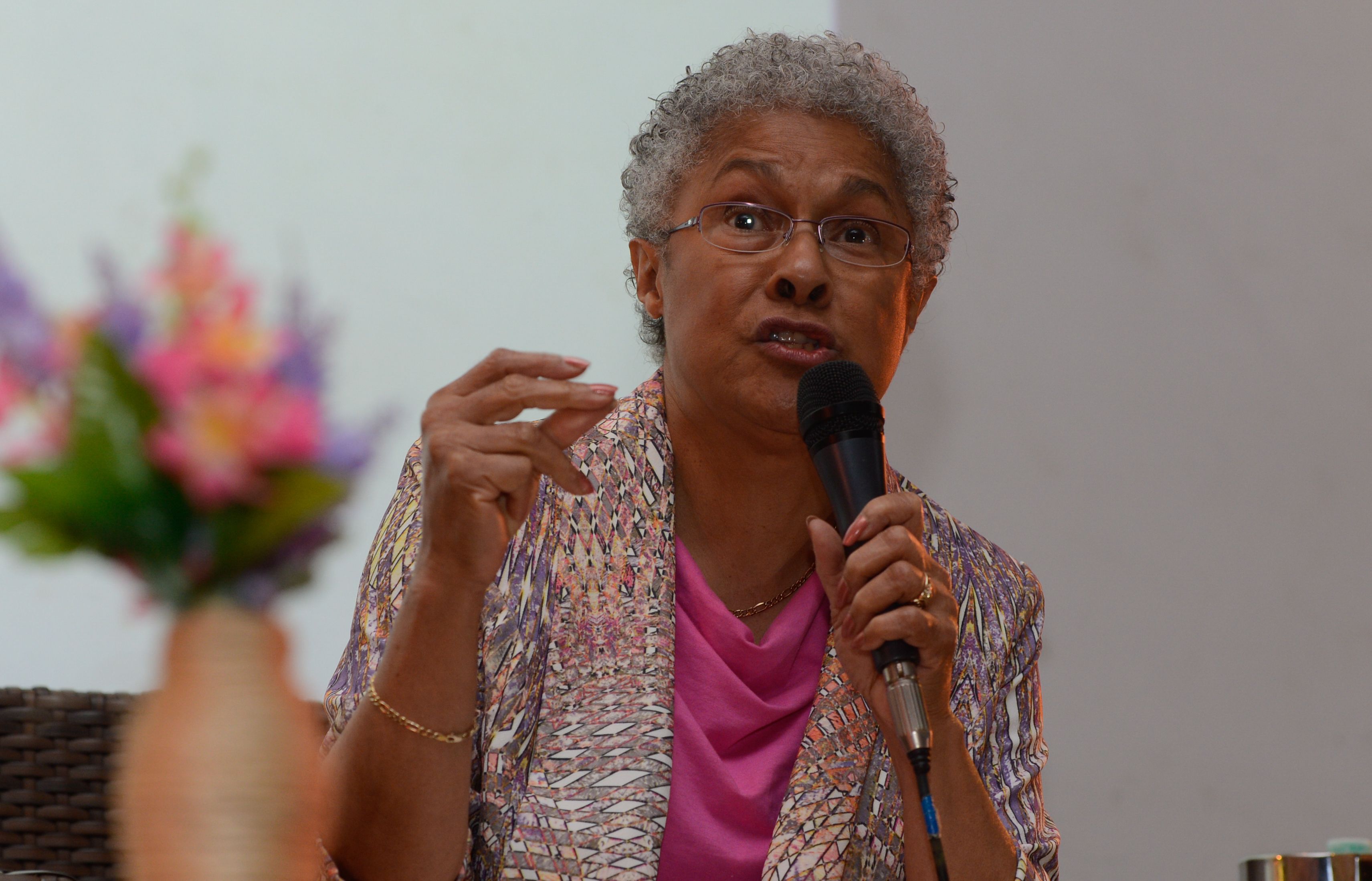 Patricia Hill Collins photo