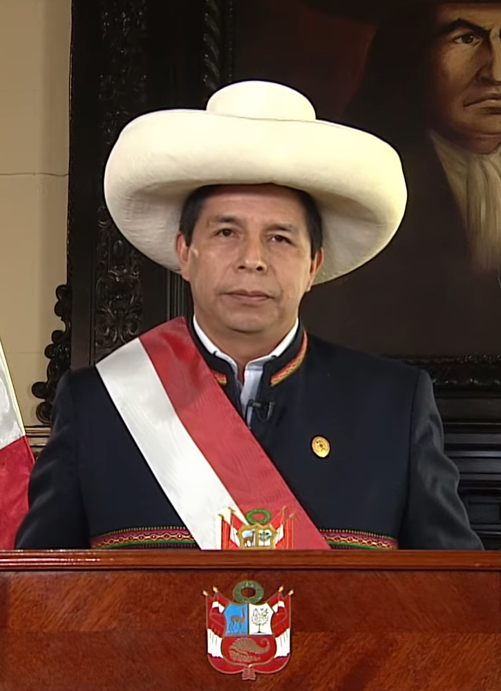 Pedro Castillo photo