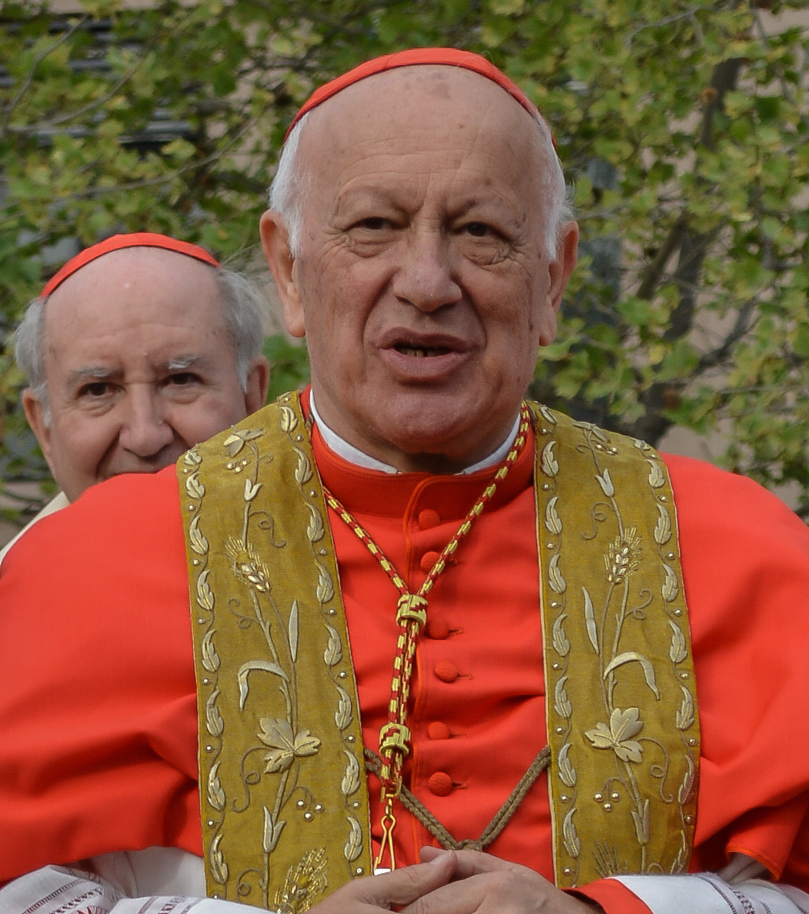 Ricardo Ezzati Andrello photo