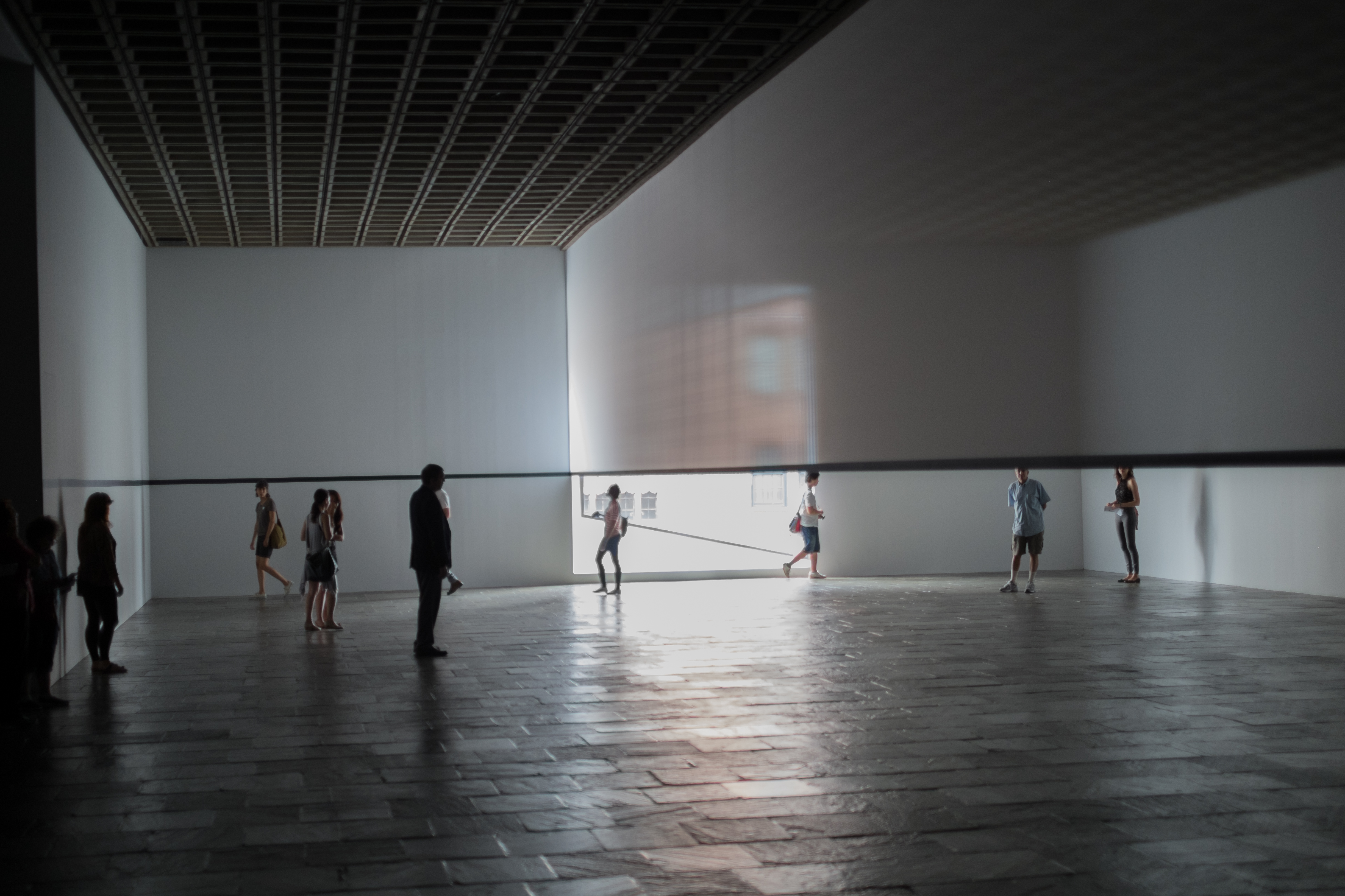 Robert Irwin photo