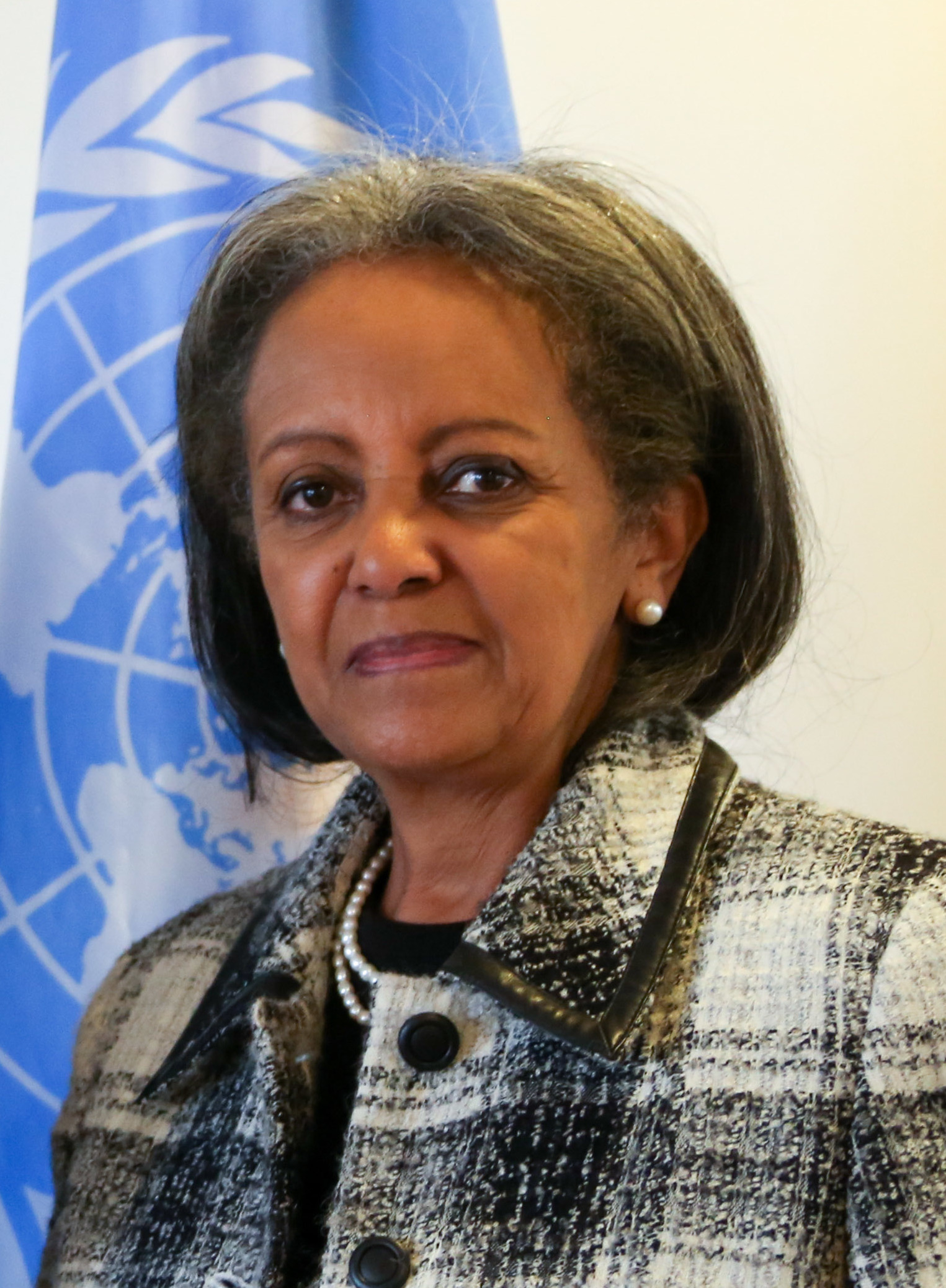 Sahlework Zewde photo