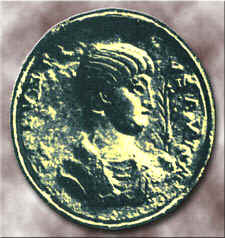 Salluste photo
