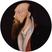 Thomas Wyatt photo