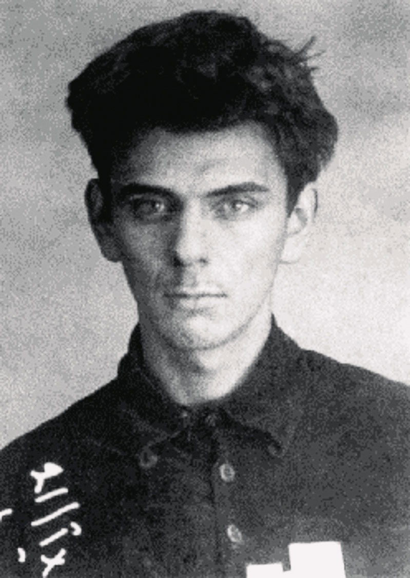 Iouri Dombrovski photo