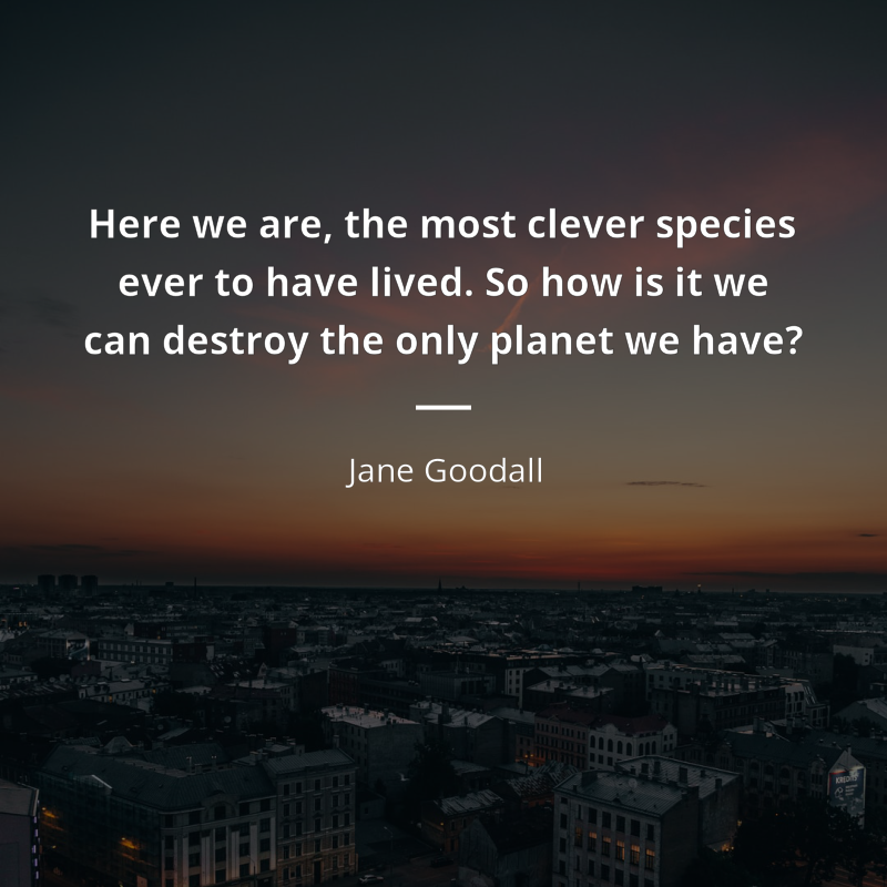 Jane Goodall citation: “Here we are, the most clever species ever to have lived. So how is it we can destroy the only planet we have?”