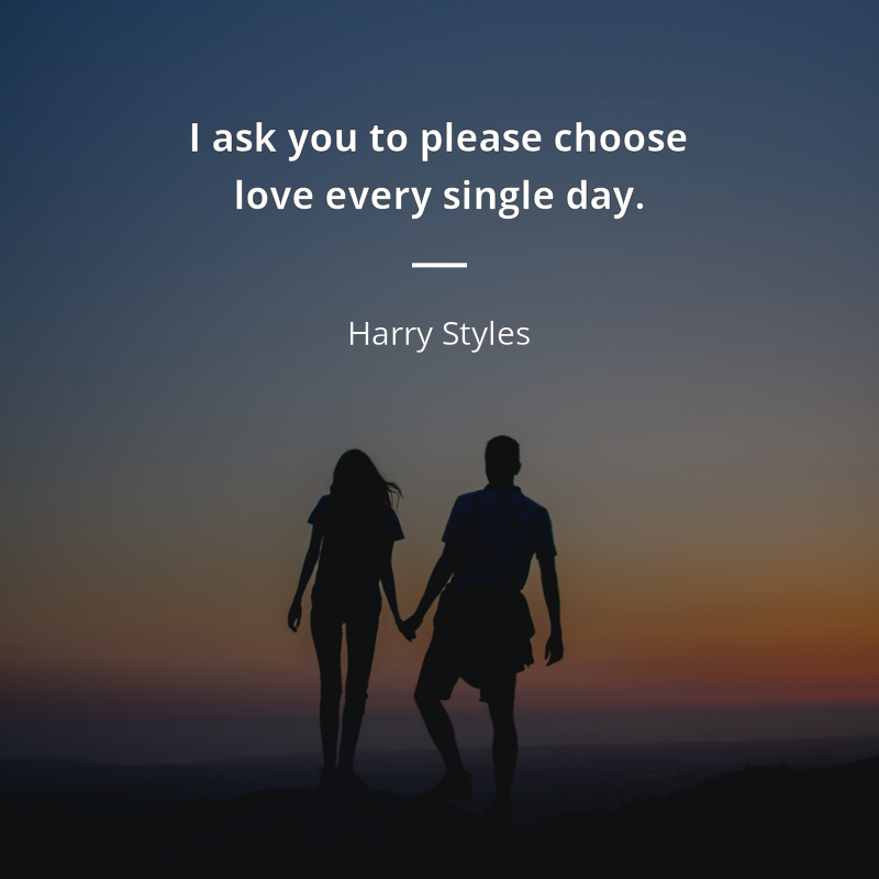 Harry Styles citation: “We have a choice, every single day that we wake up, of what we can put into the world, and I ask you to please choose love every single day.”