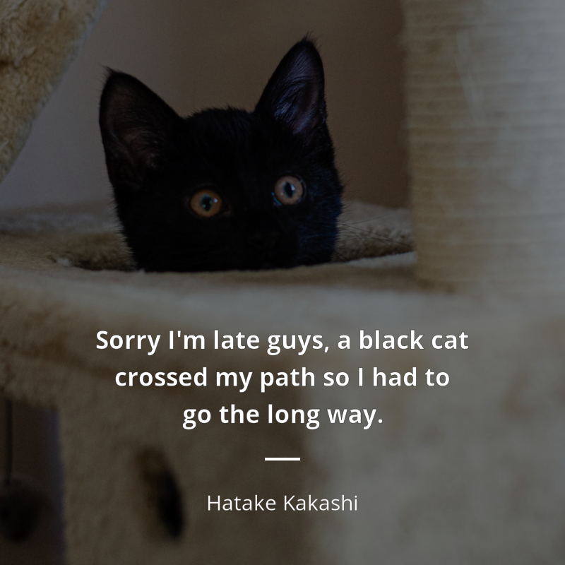 Hatake Kakashi citation: “Sorry I'm late guys, a black cat crossed my path so I had to go the long way.”