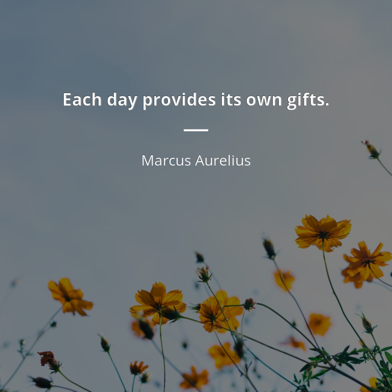 Marcus Aurelius citation: “Each day provides its own gifts.”