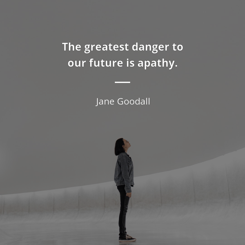 Jane Goodall citation: “The greatest danger to our future is apathy.”